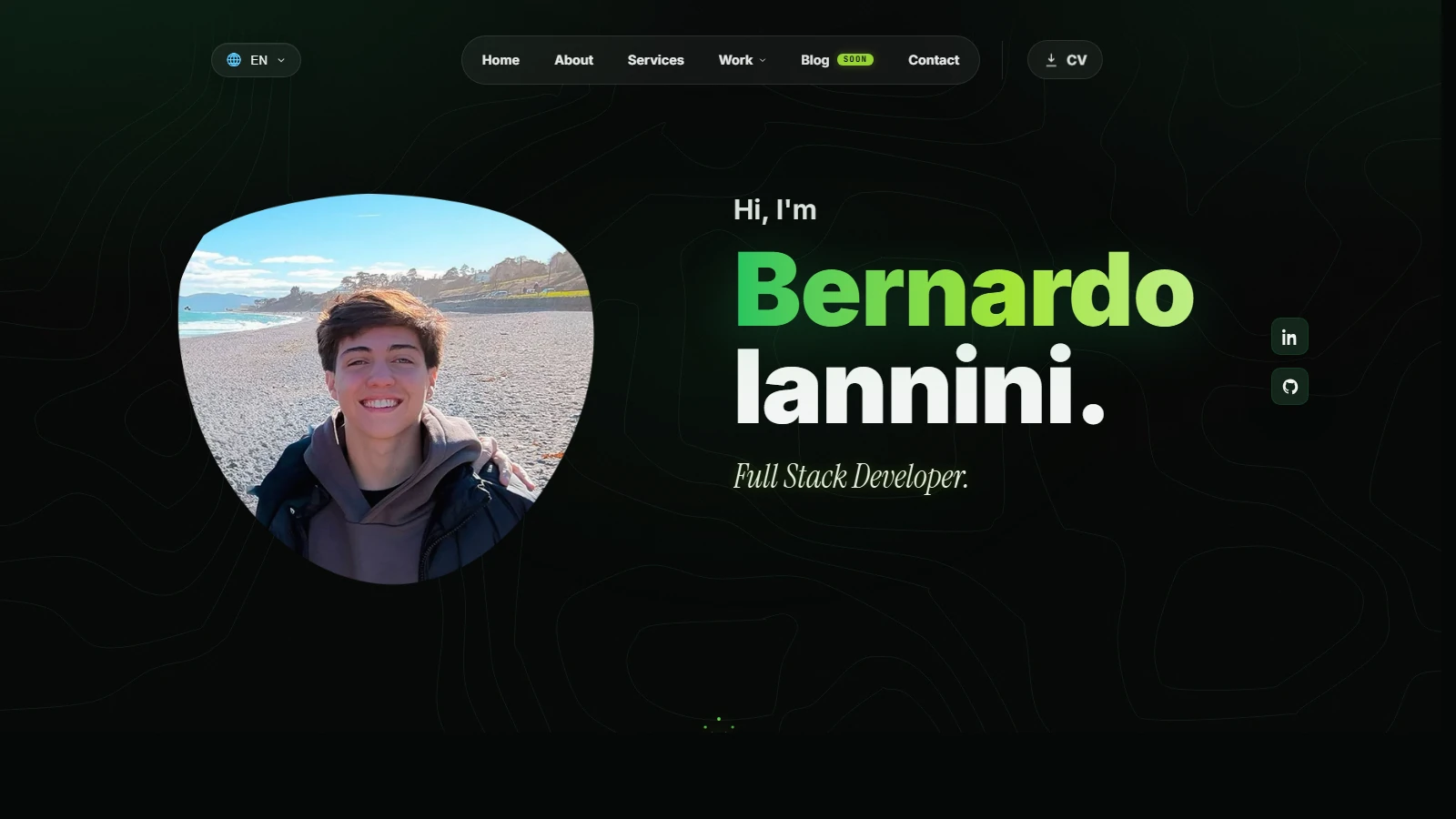 bernardoiannini.com · Este Site